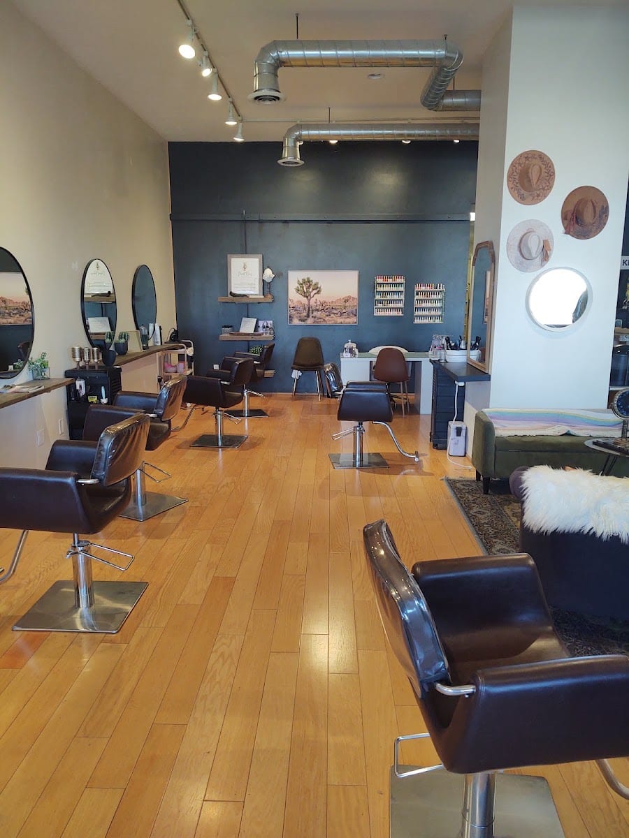 Platinum Salon and Beauty | Hair Dresser - Hair Stylist - Barber - Headspa - Extensions - Eshthetics - Lash and Brow - Nail