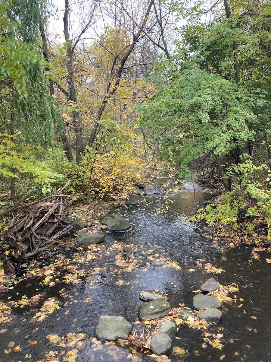 German Mills Greenway, photo 3