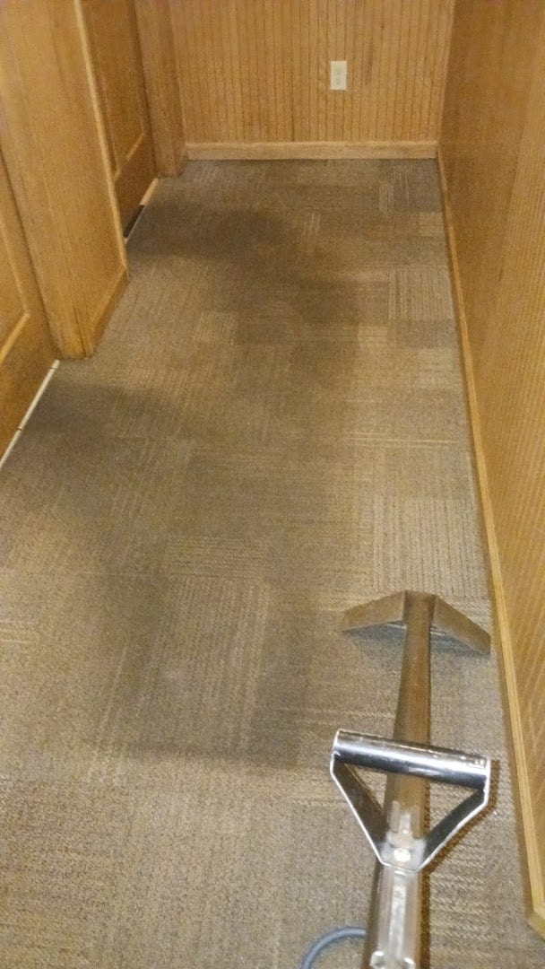 M&M CARPET MASTERS, photo 4