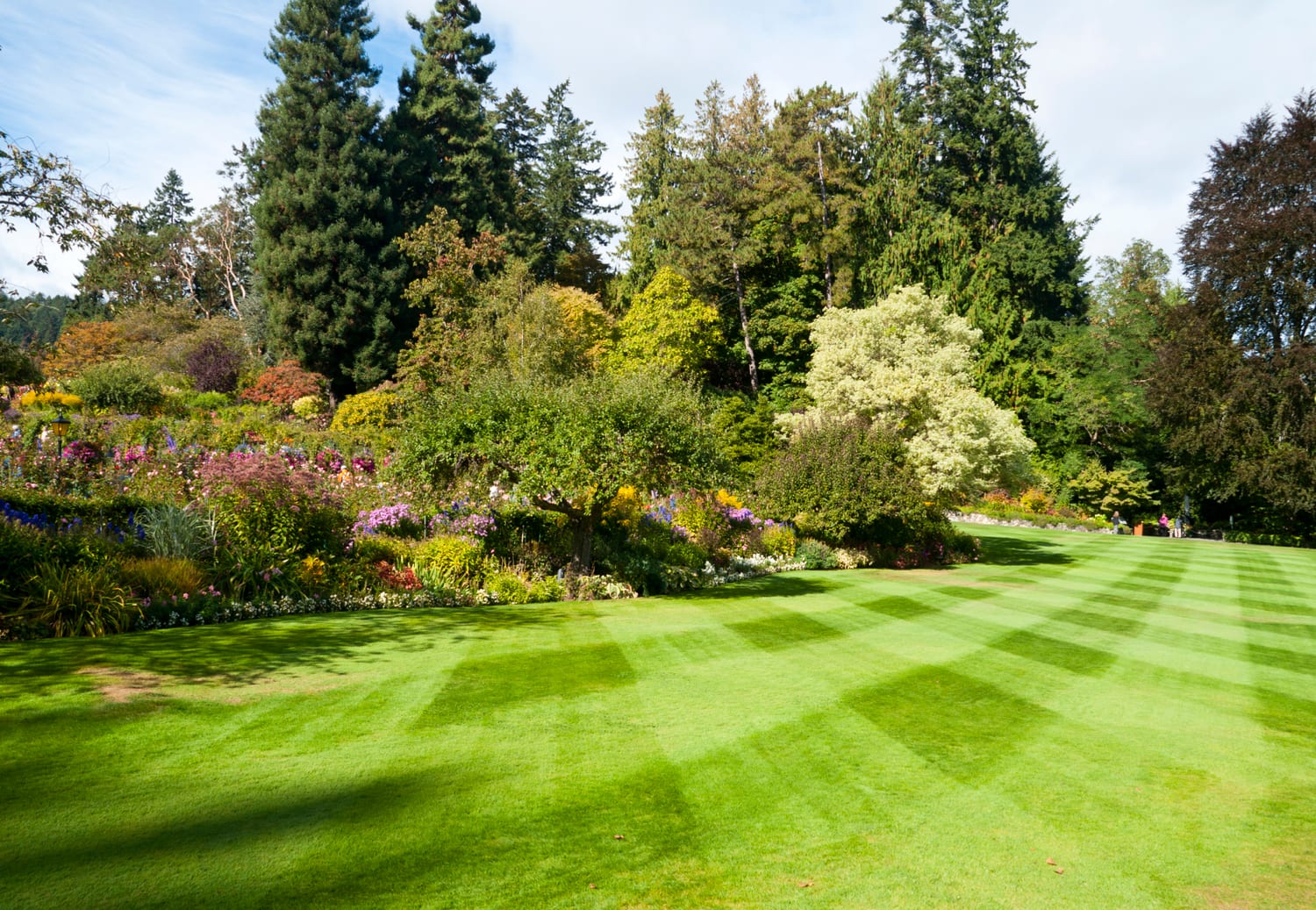 Three Seasons Lawn Care, photo 3
