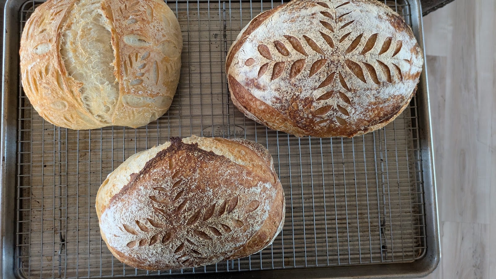 The Daily Dough, photo 3