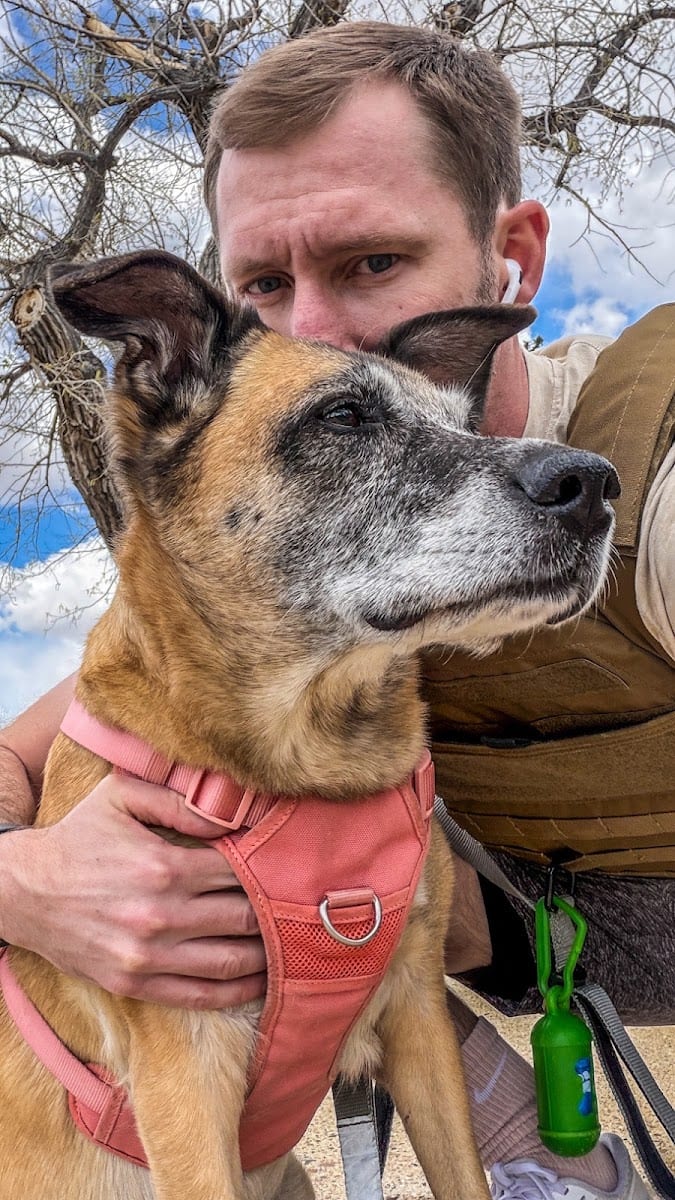 Hound and Katt Veterinarian, photo 3