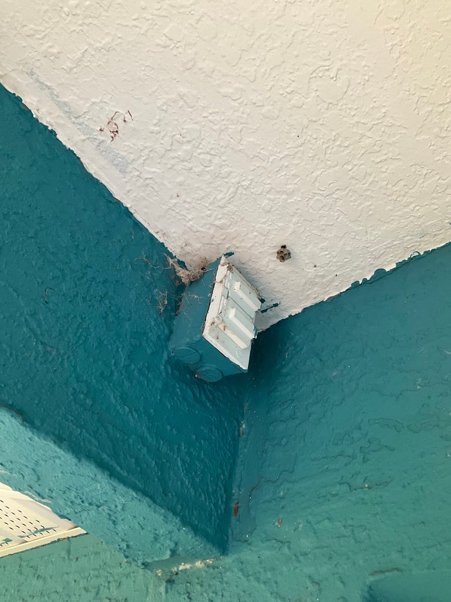 Massey Services Pest Control, photo 4
