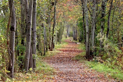 Bog Meadow Brook Nature Trail