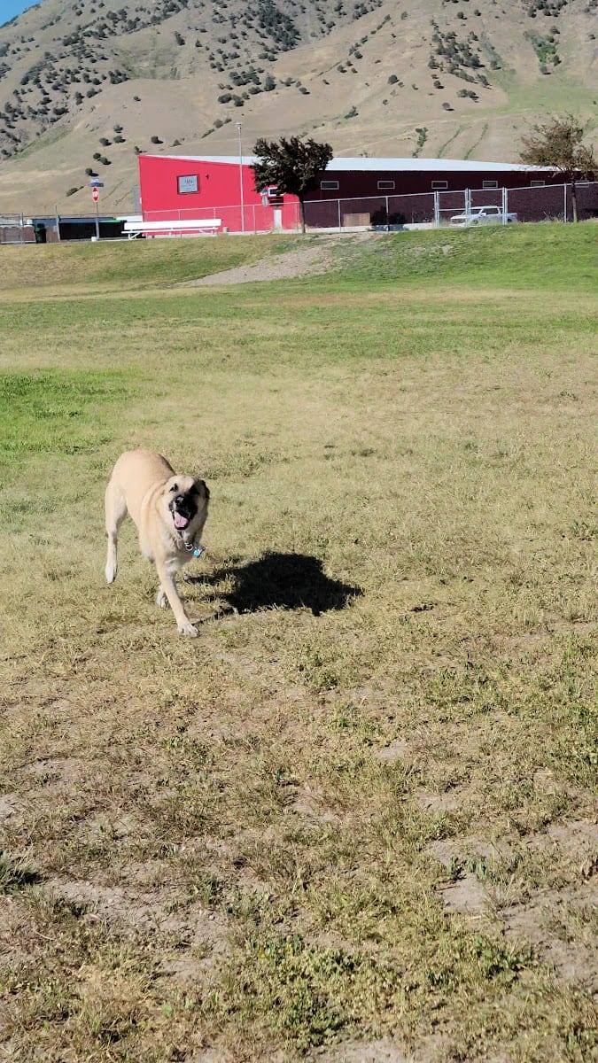 Blacksmith Fork Dog Park, photo 2