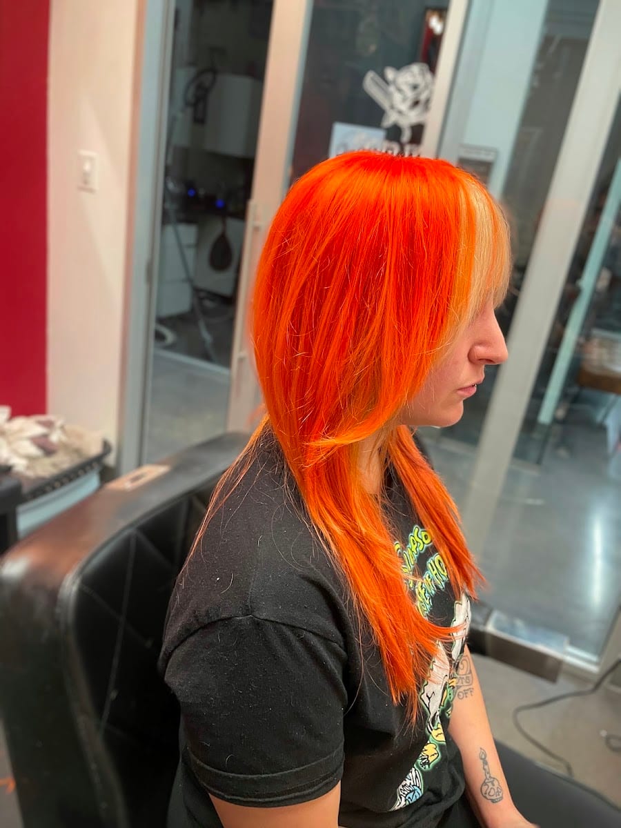 Dani Gunn Hair Studio