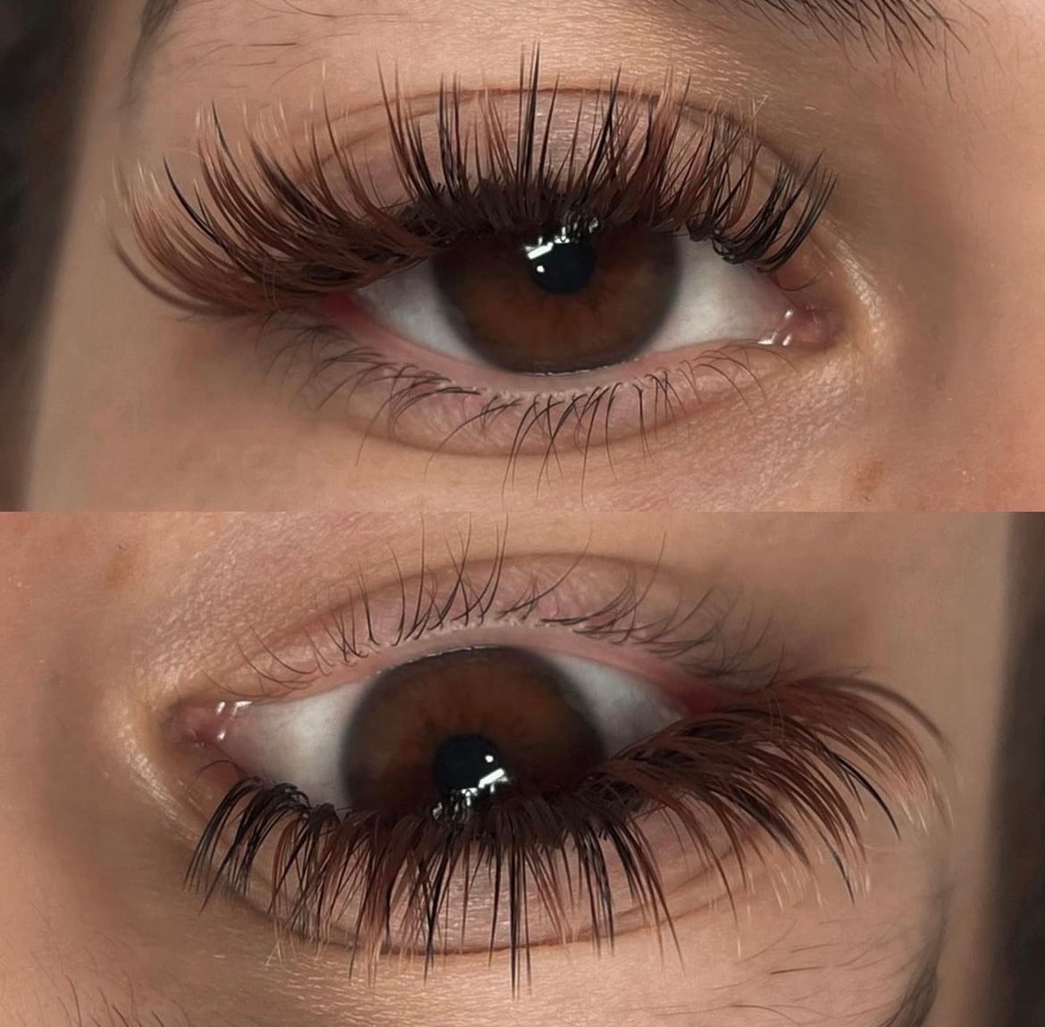 This is Lashed, photo 3