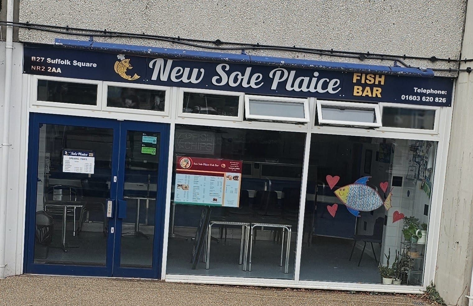 New Sole Plaice, photo 3