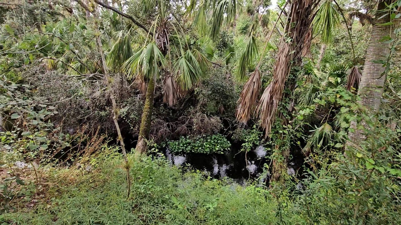 Oaks Park, photo 3