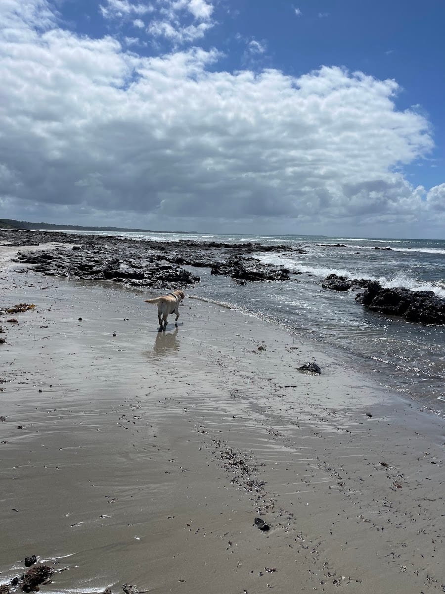Flinders Beach Dog Off Leash Area