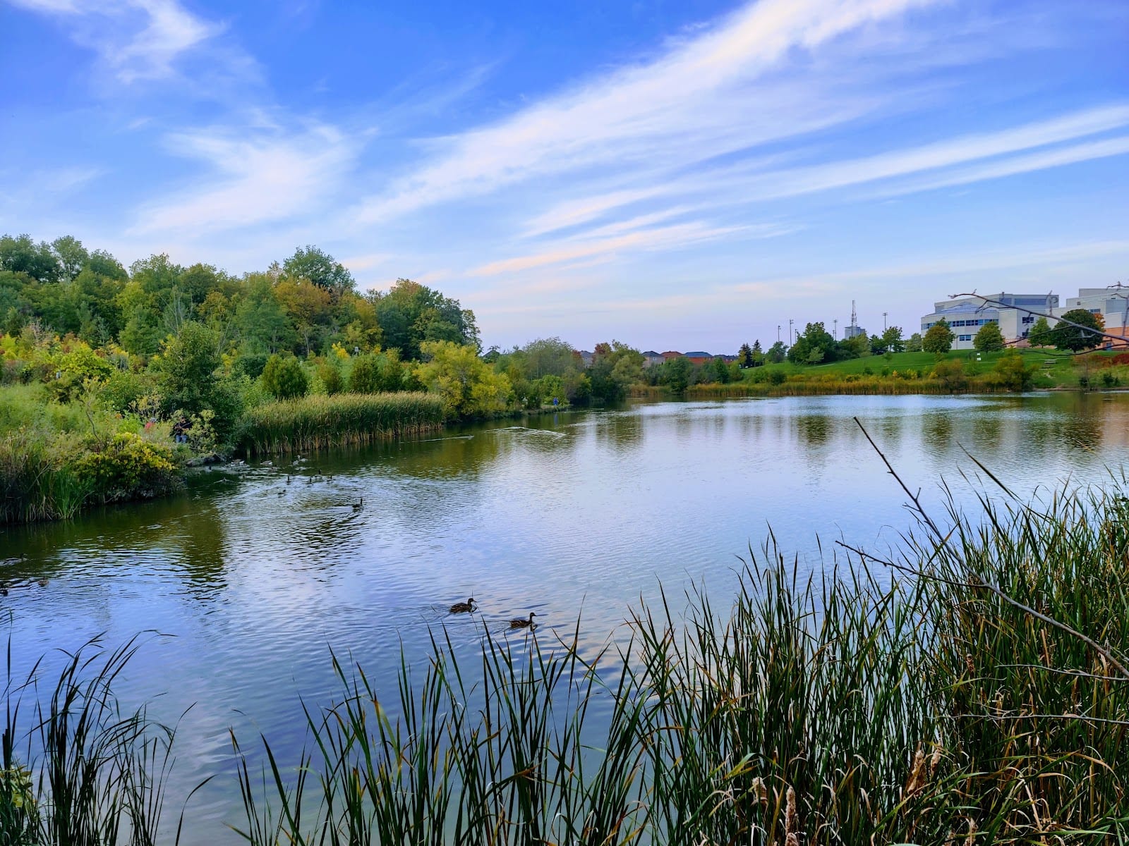 Lawrence Heights Park
