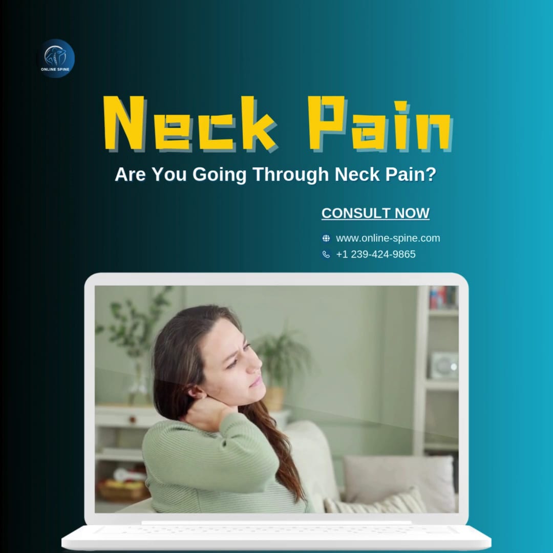 Online Spine, photo 3