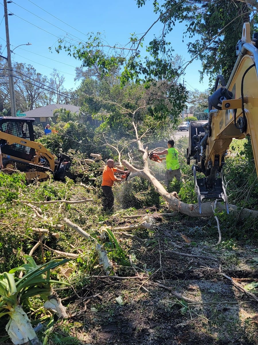 Harris tree service and landscaping llc