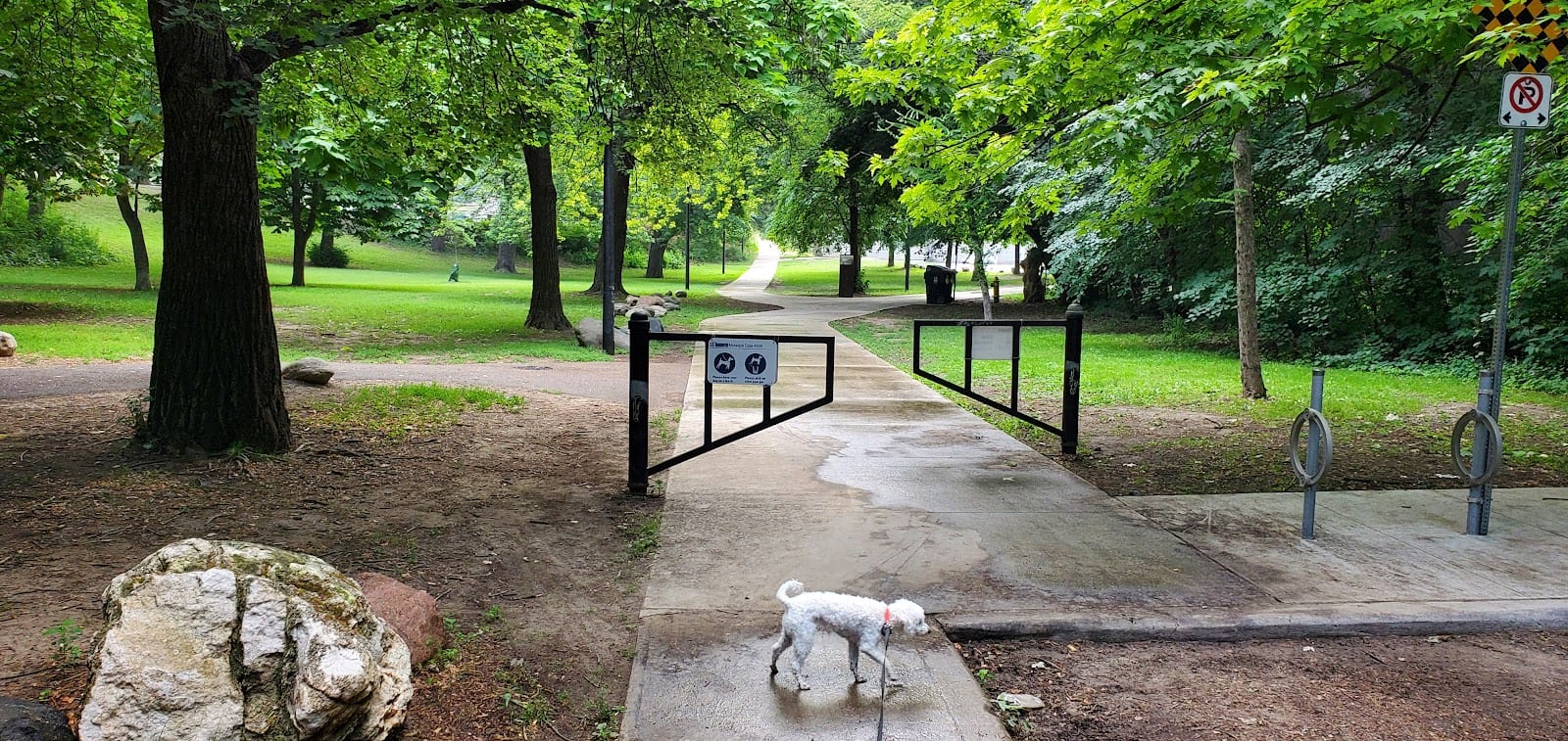 Ramsden Dog Park, photo 3