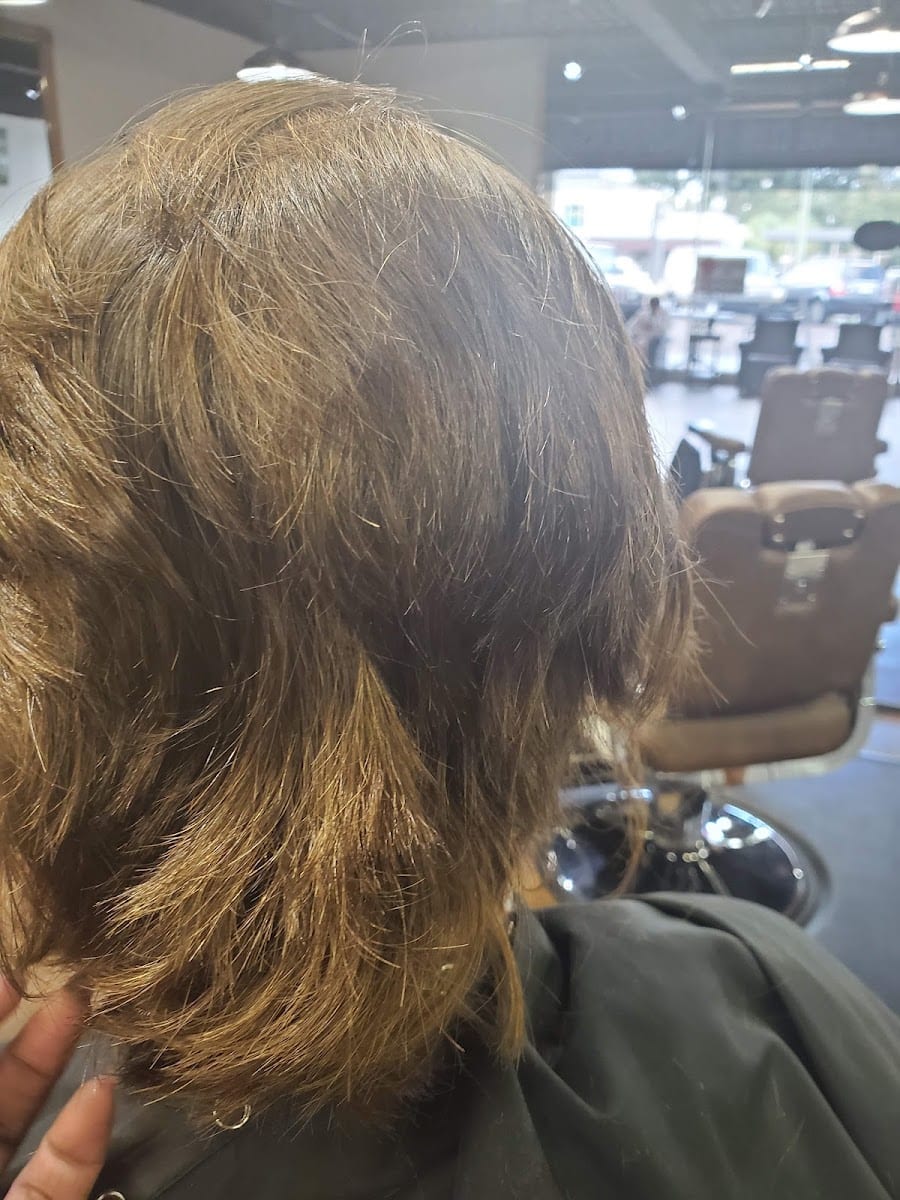 Bear Beauty Shop