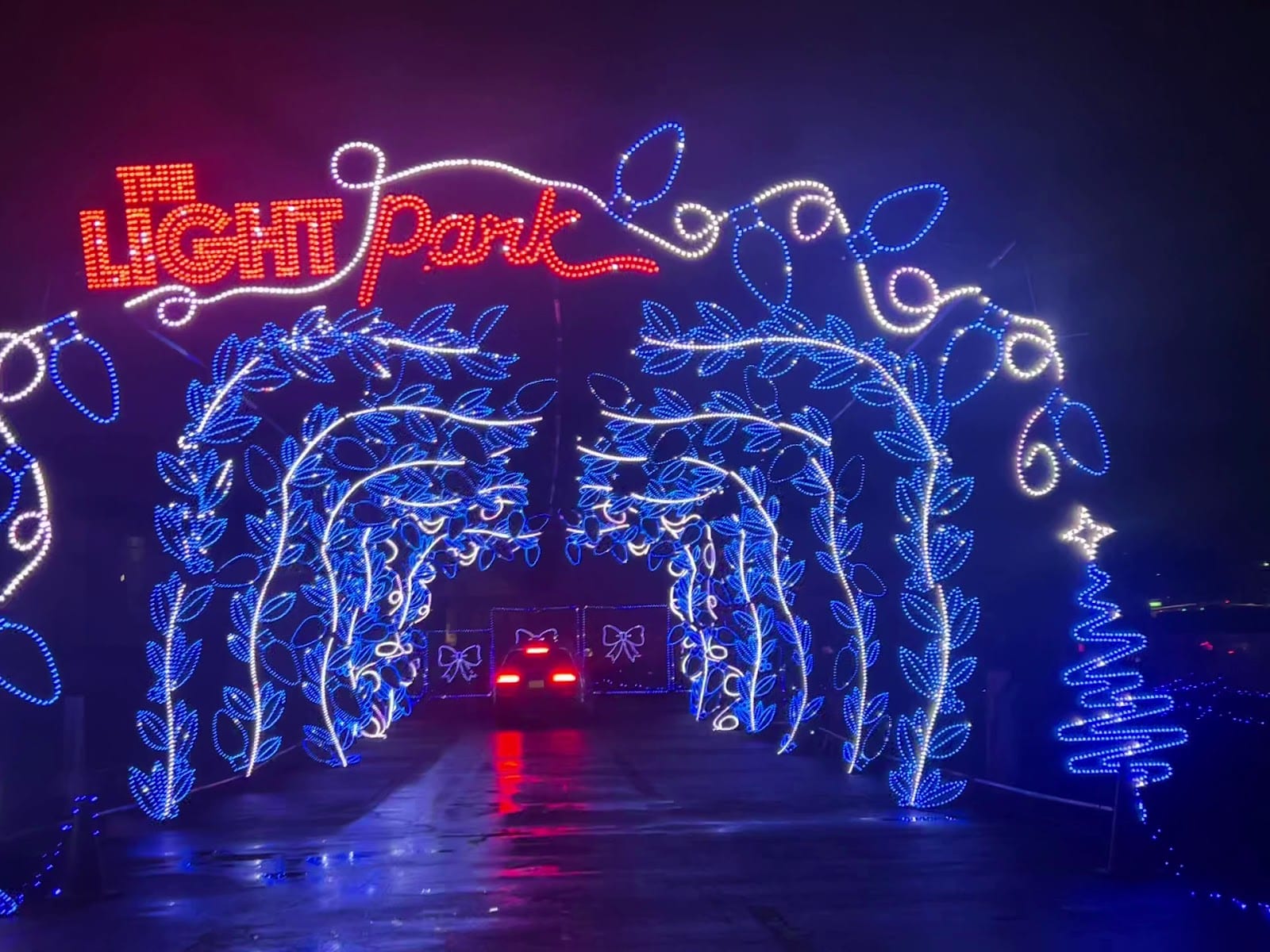The Light Park - Round Rock, photo 3