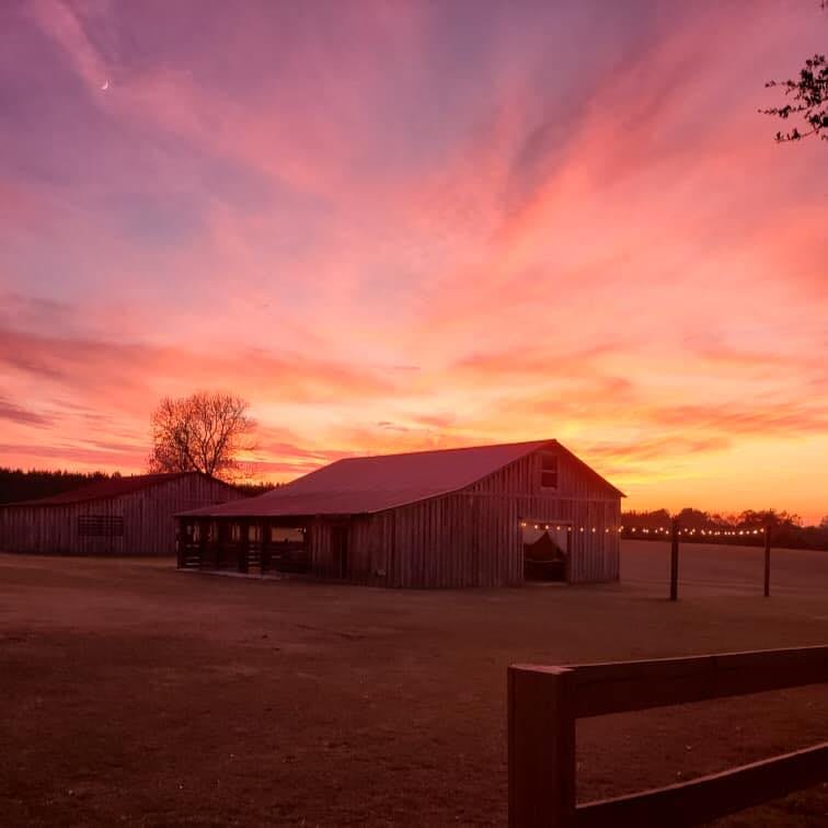 Loblolly Farm, photo 3