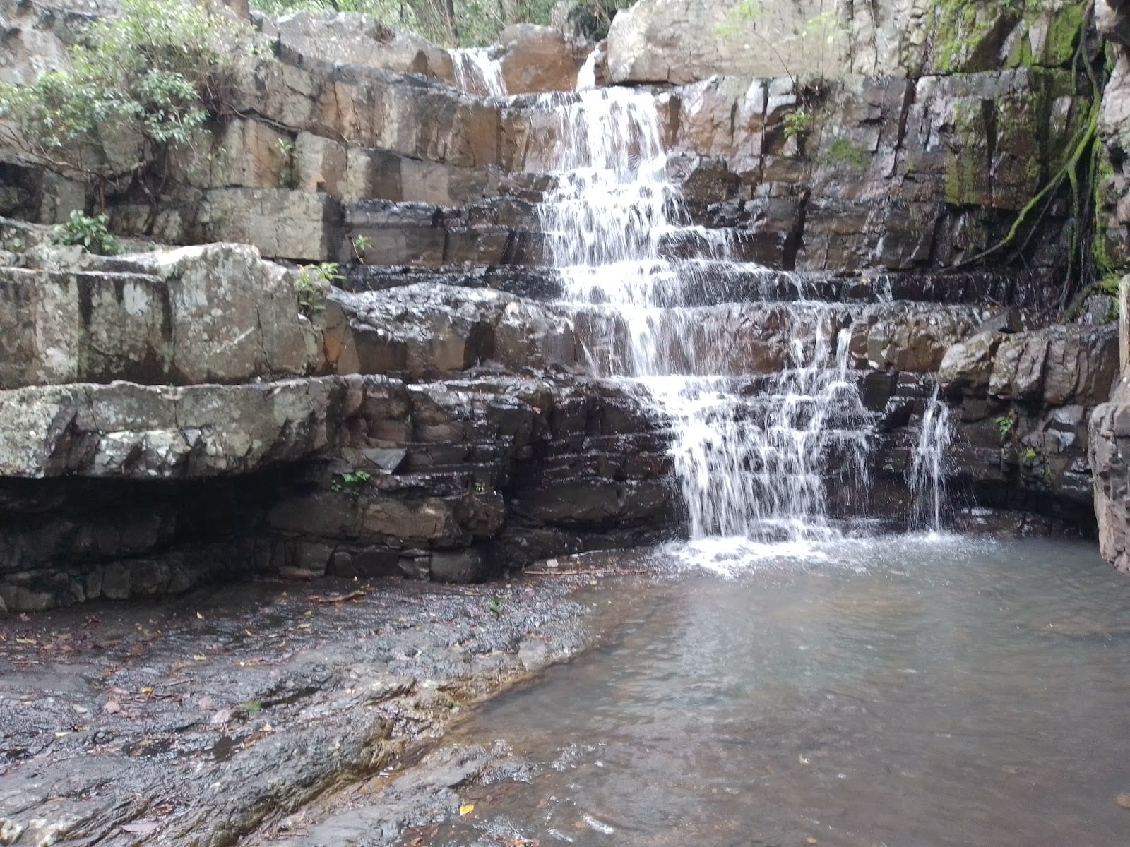 Spencer Gap Waterhole, photo 3