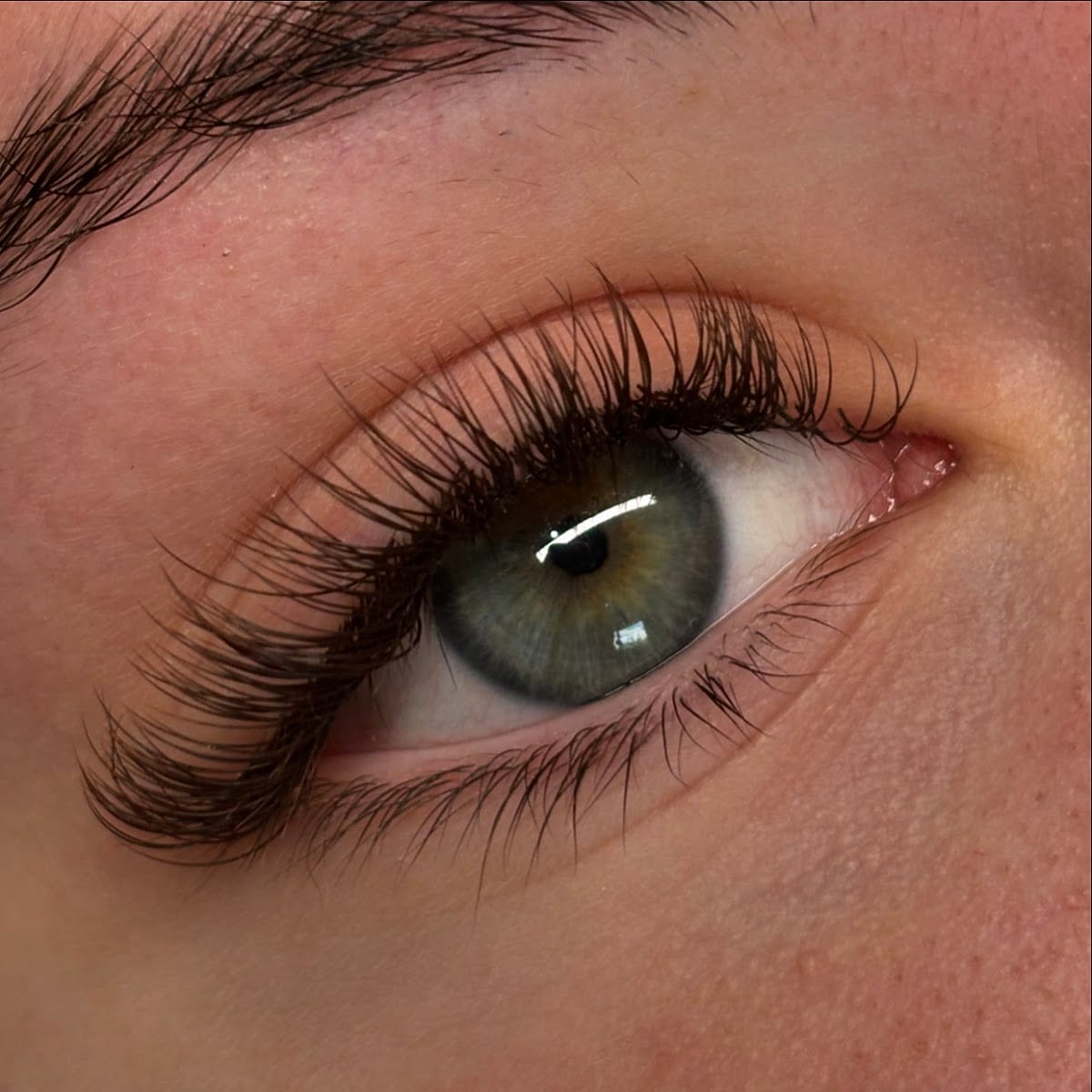 Angeliclashesandbrows