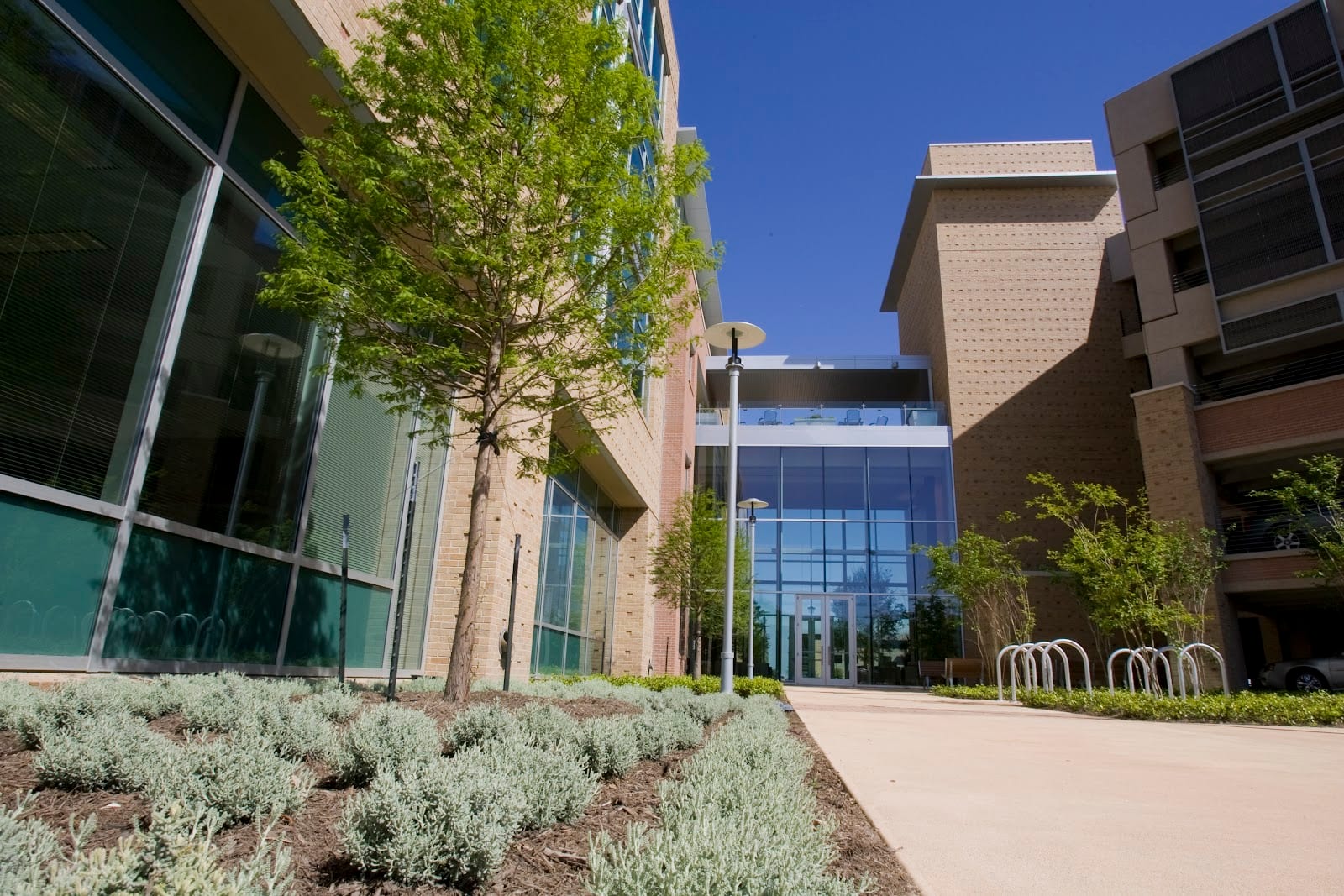 Ascension Seton Occupational Health Clinic