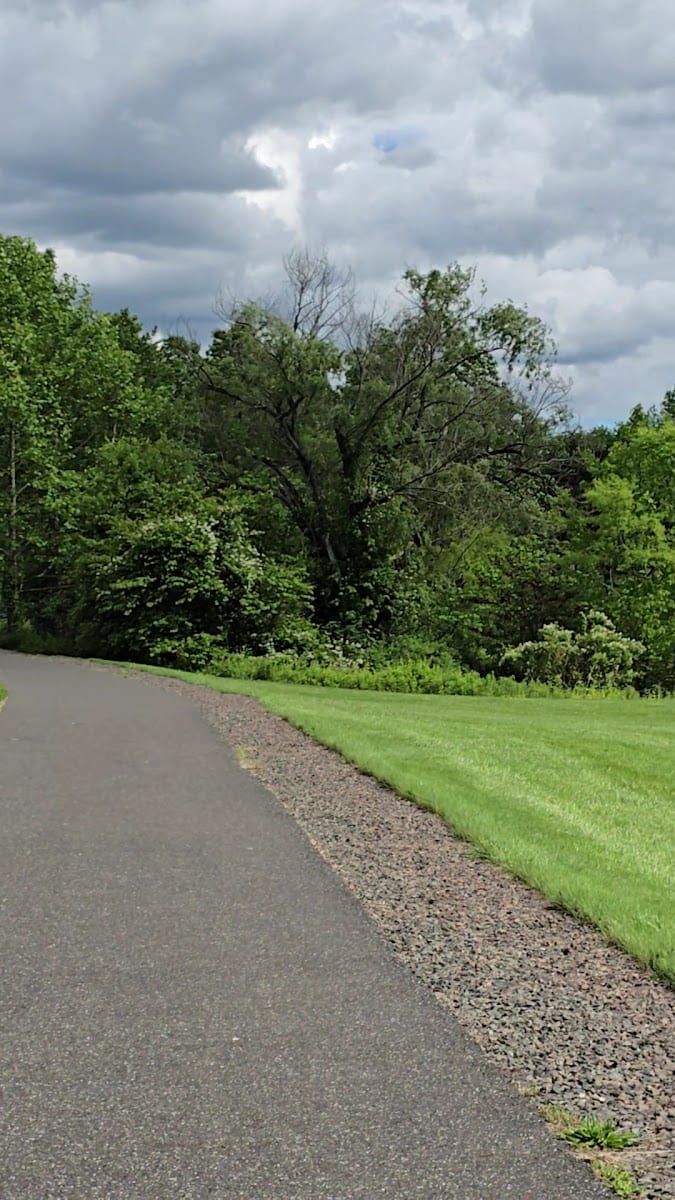Central Park Disc Golf Course, photo 2