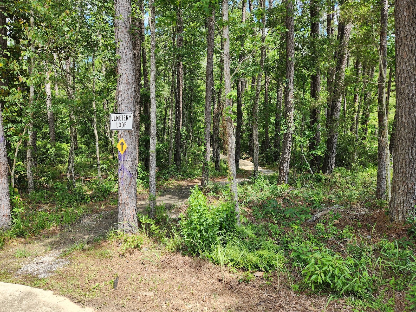 Cemetery Loop Trailhead