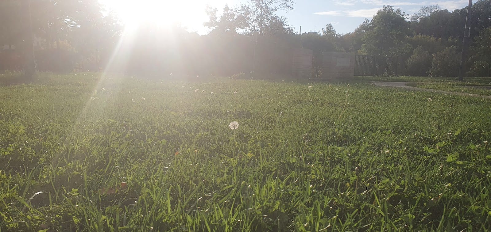 Fred Young Park, photo 2