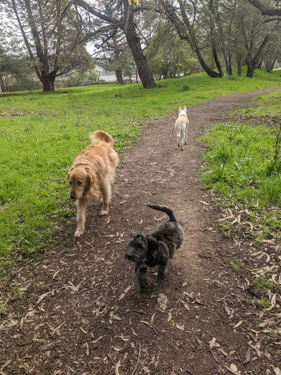 Shurtleff Park, photo 3