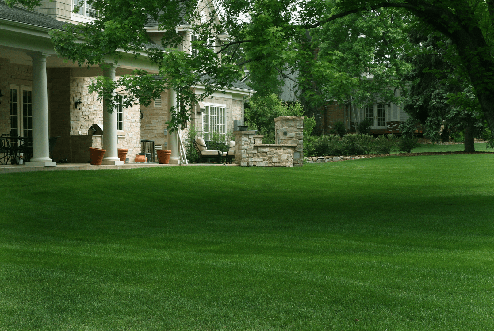 ScienTurfic Sod, photo 4