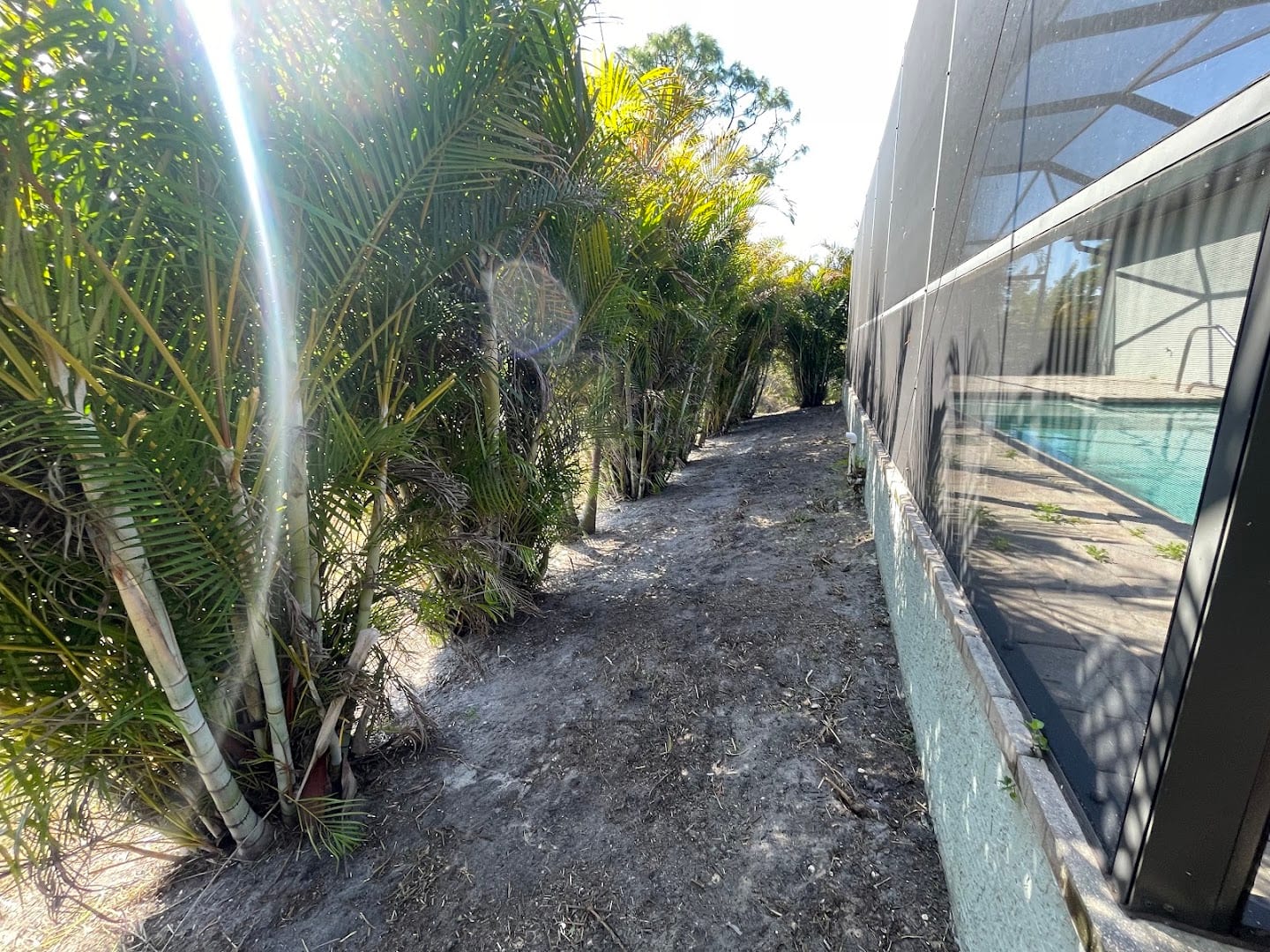 Carrillo Landscaping, photo 4