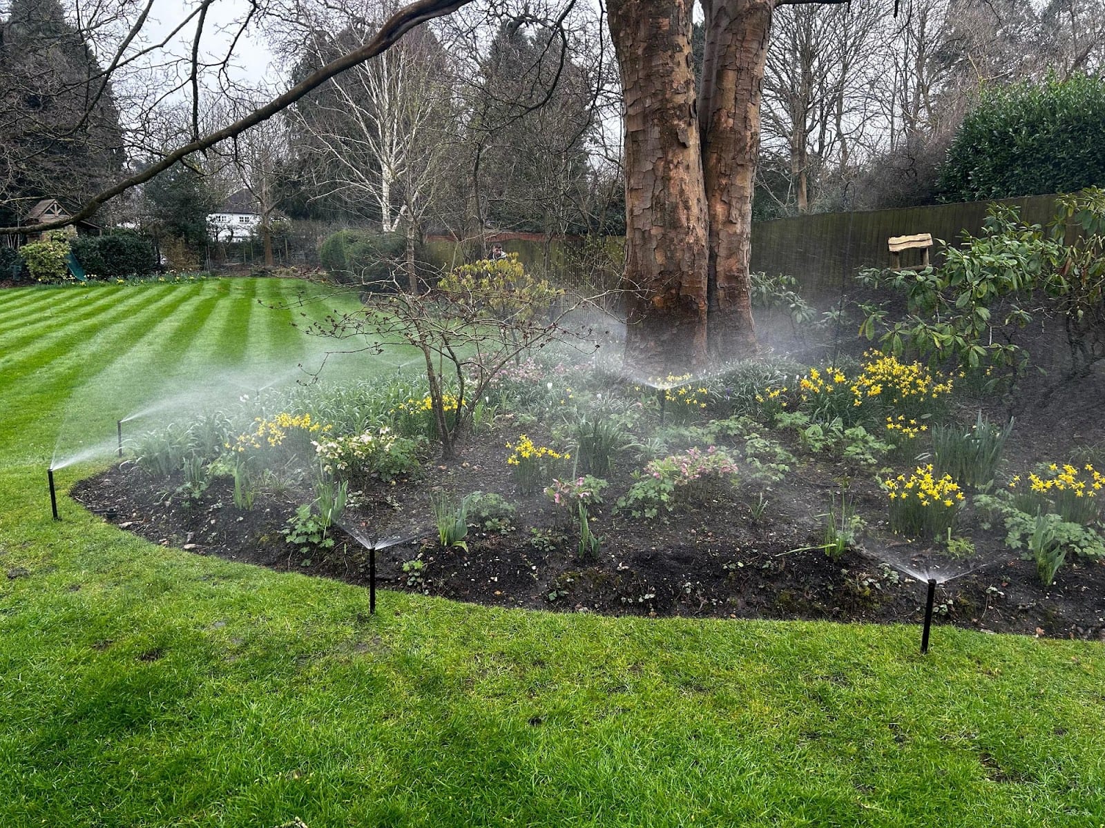 Rosewood Irrigation & Living Walls Ltd, photo 4