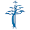 The Orthopaedic Group, P.C.