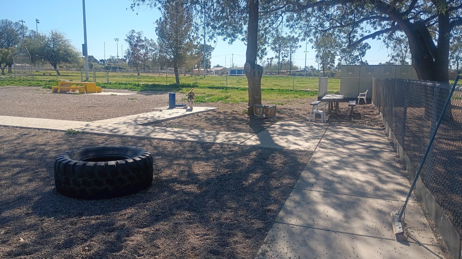Palo Verde Dog Park, photo 2