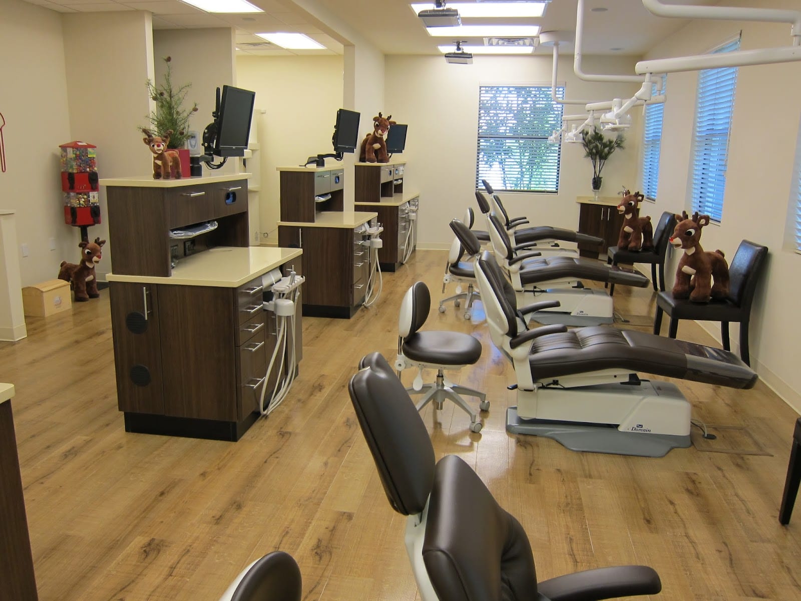 South Tampa Pediatric Dentistry, photo 3