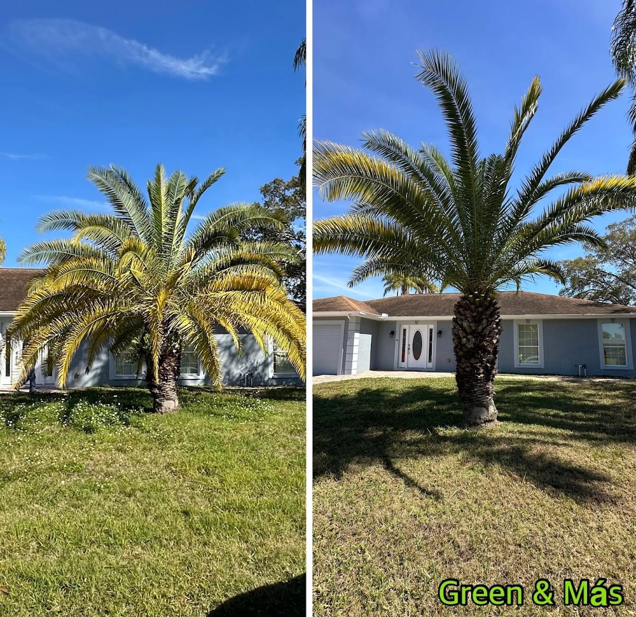 Green & Más Landscape Services, photo 3