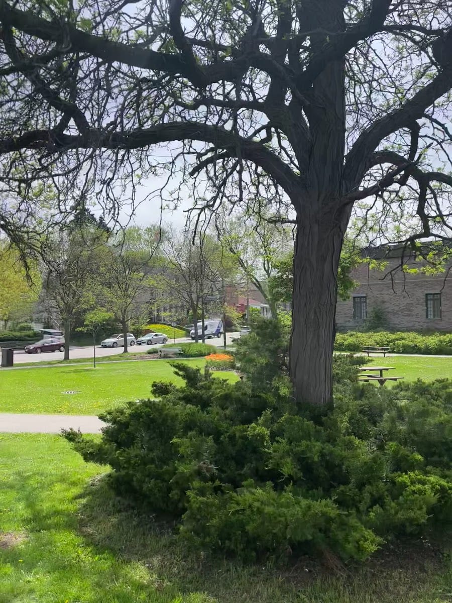 Brookdale Park, photo 2
