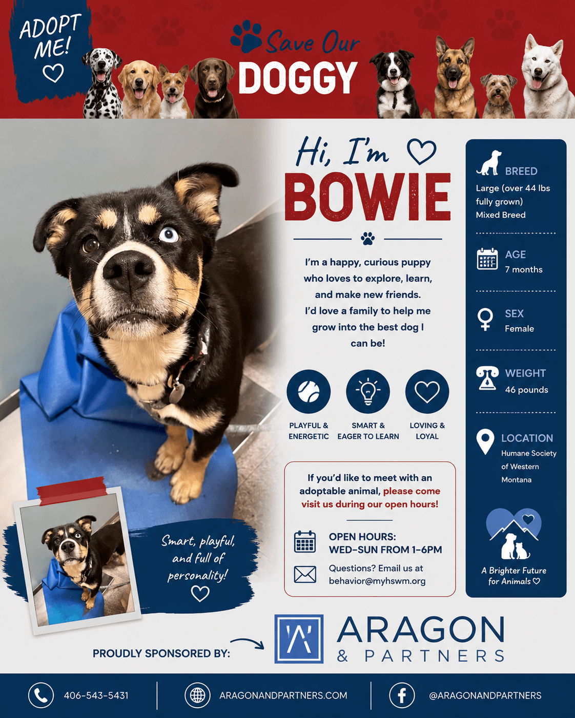 Missoula's Best Hiking Trails β Meet the Aragon's, Adopt Bowie, Run for Rate & Clean Team Celebrates 20!