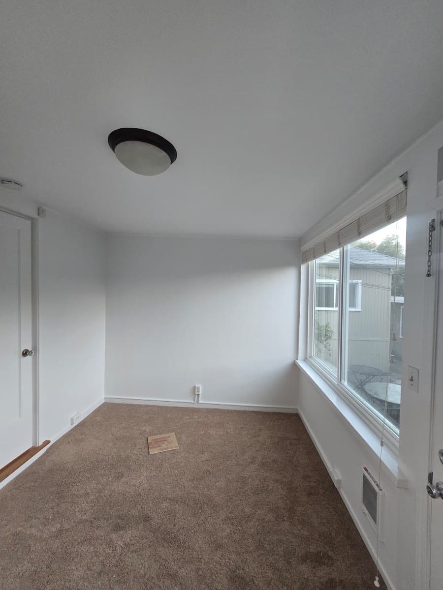 Mendez Professional Painting Inc