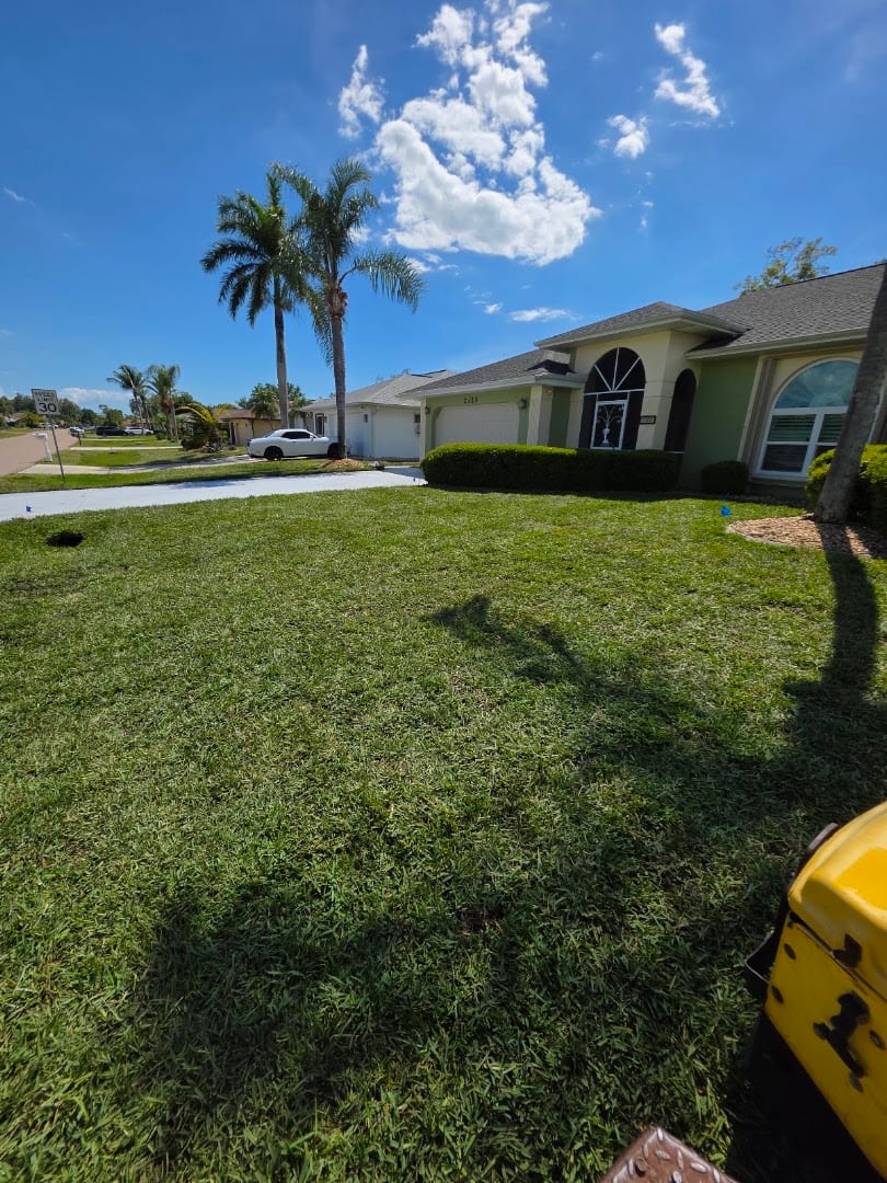 Dcs Landscaping And Trees Service, photo 3
