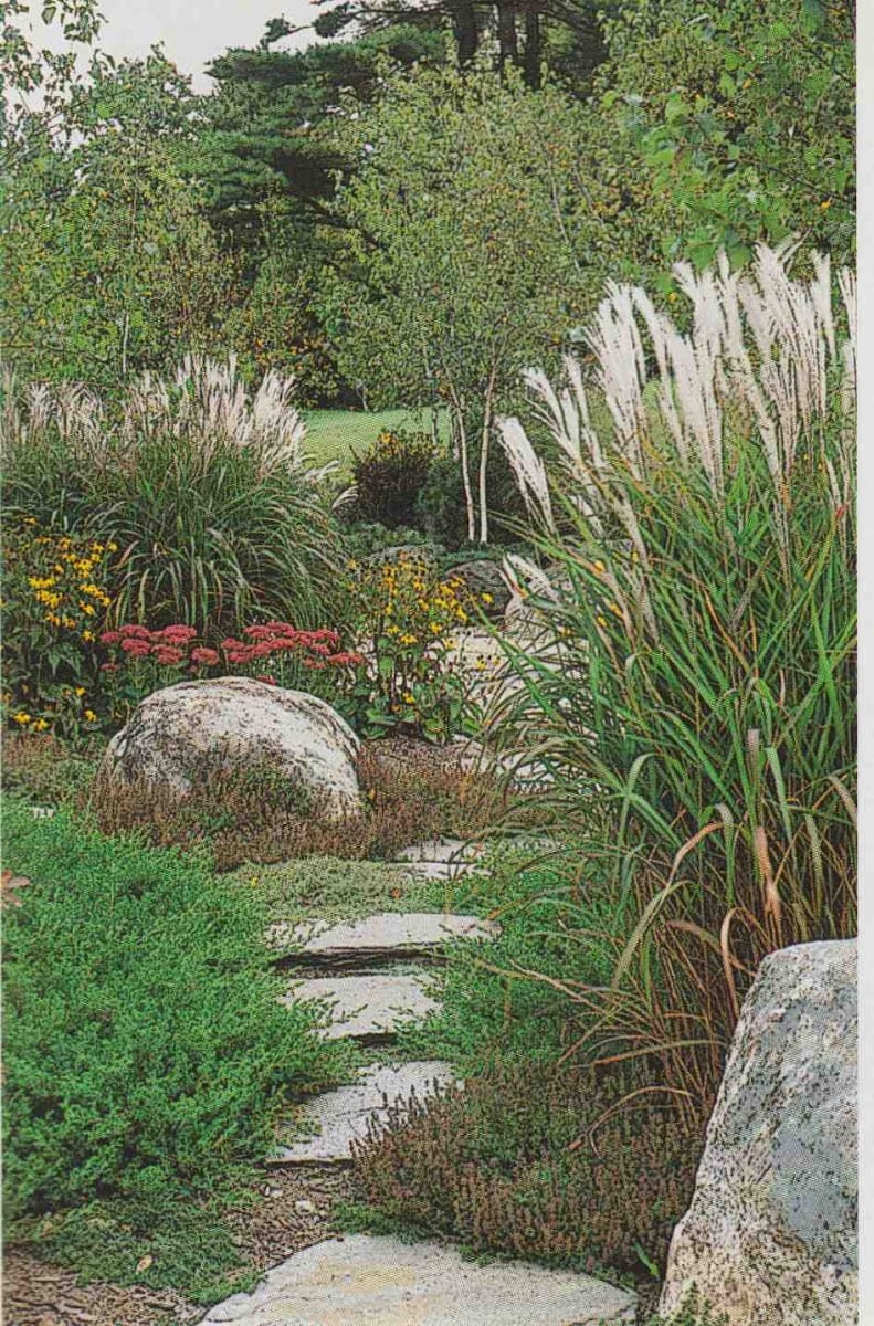 HomeTown Landscape, photo 2
