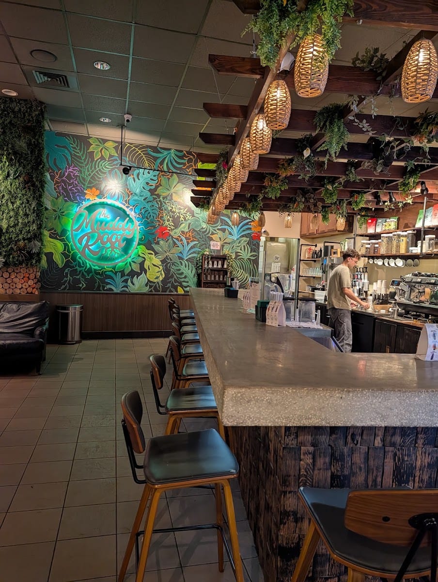 The Muddy Root Kava Cafe, photo 4