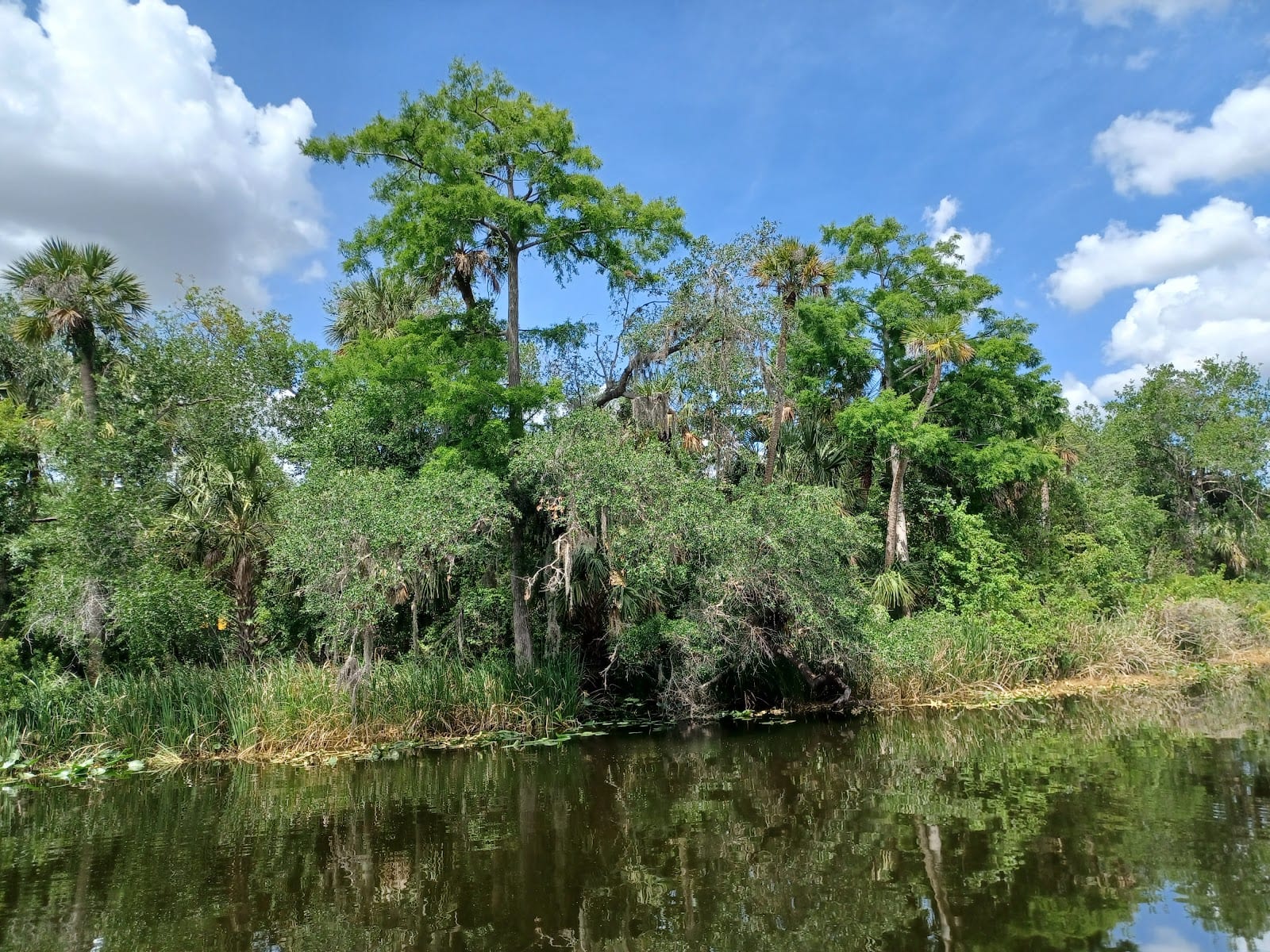 Prairie / Shell Creek, photo 4