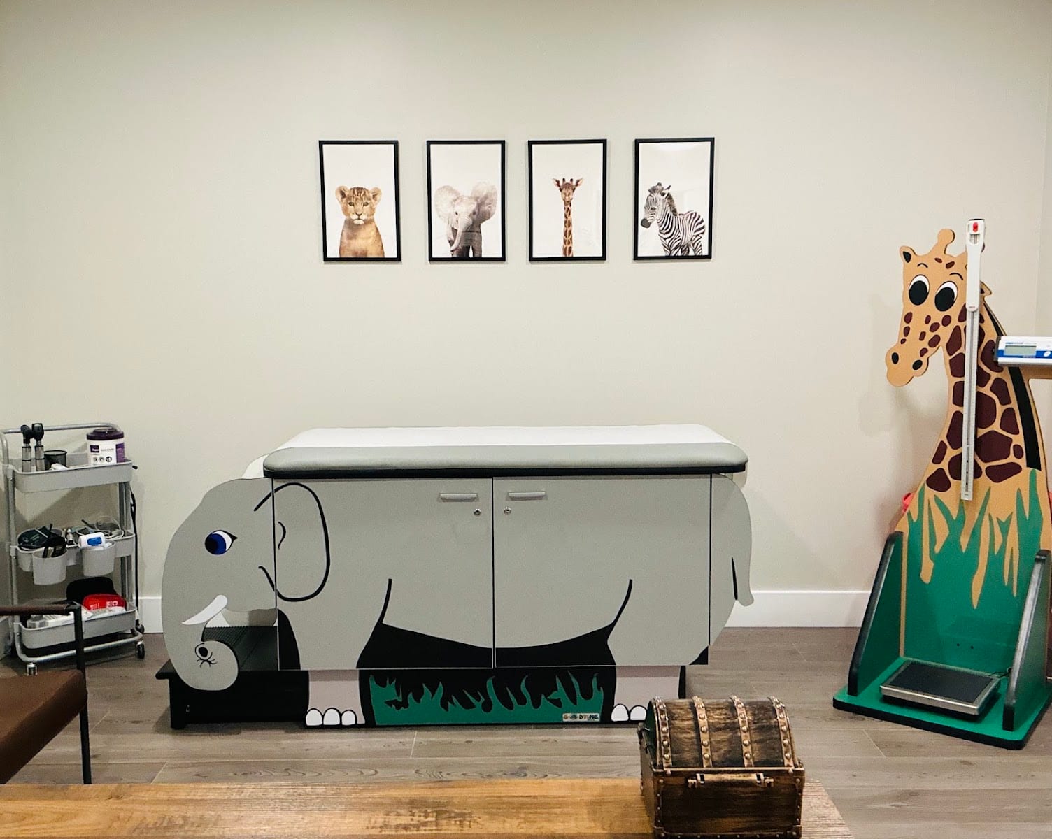 South Tampa Kids Pediatric Care, photo 2