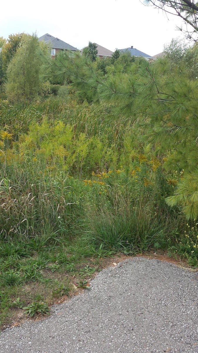 Delbert Baker Pond & Garden, photo 2