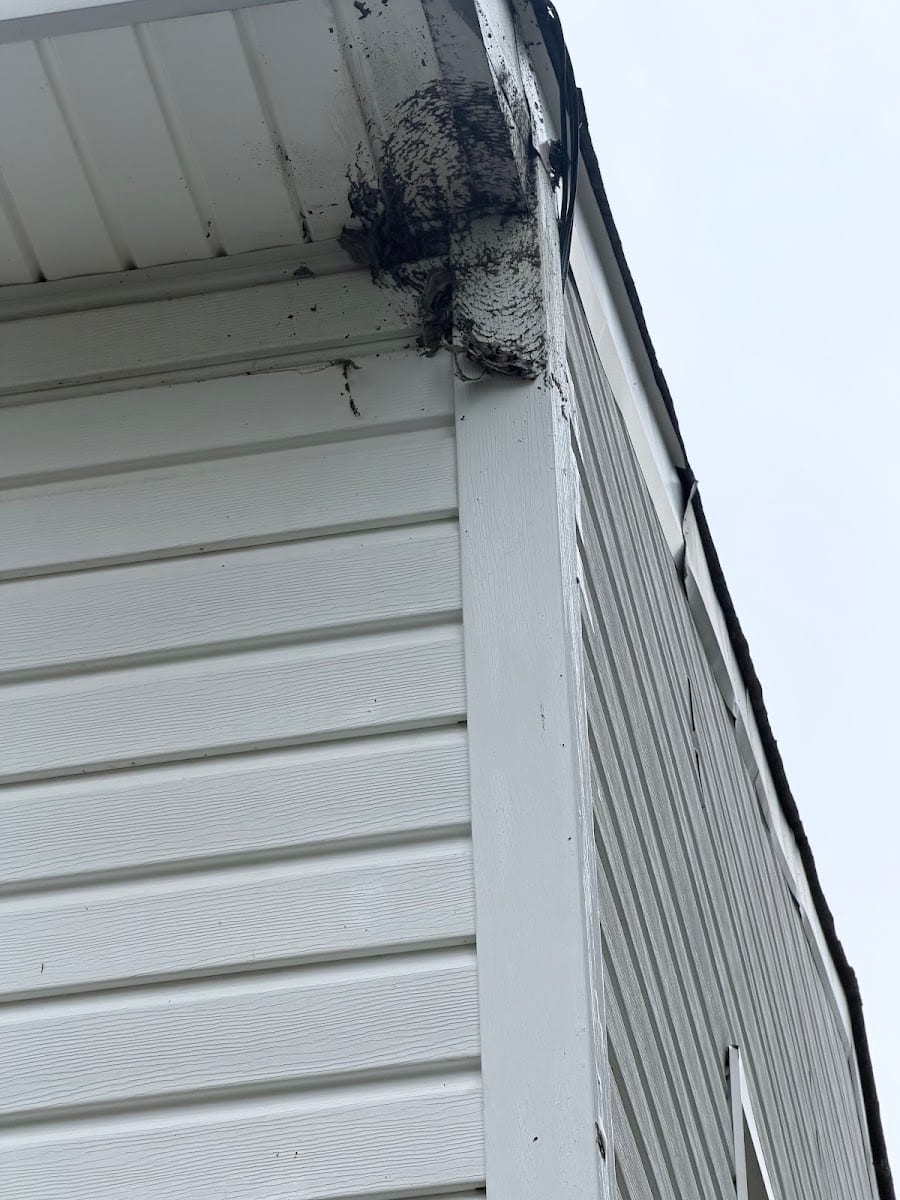 First Response Pest Control