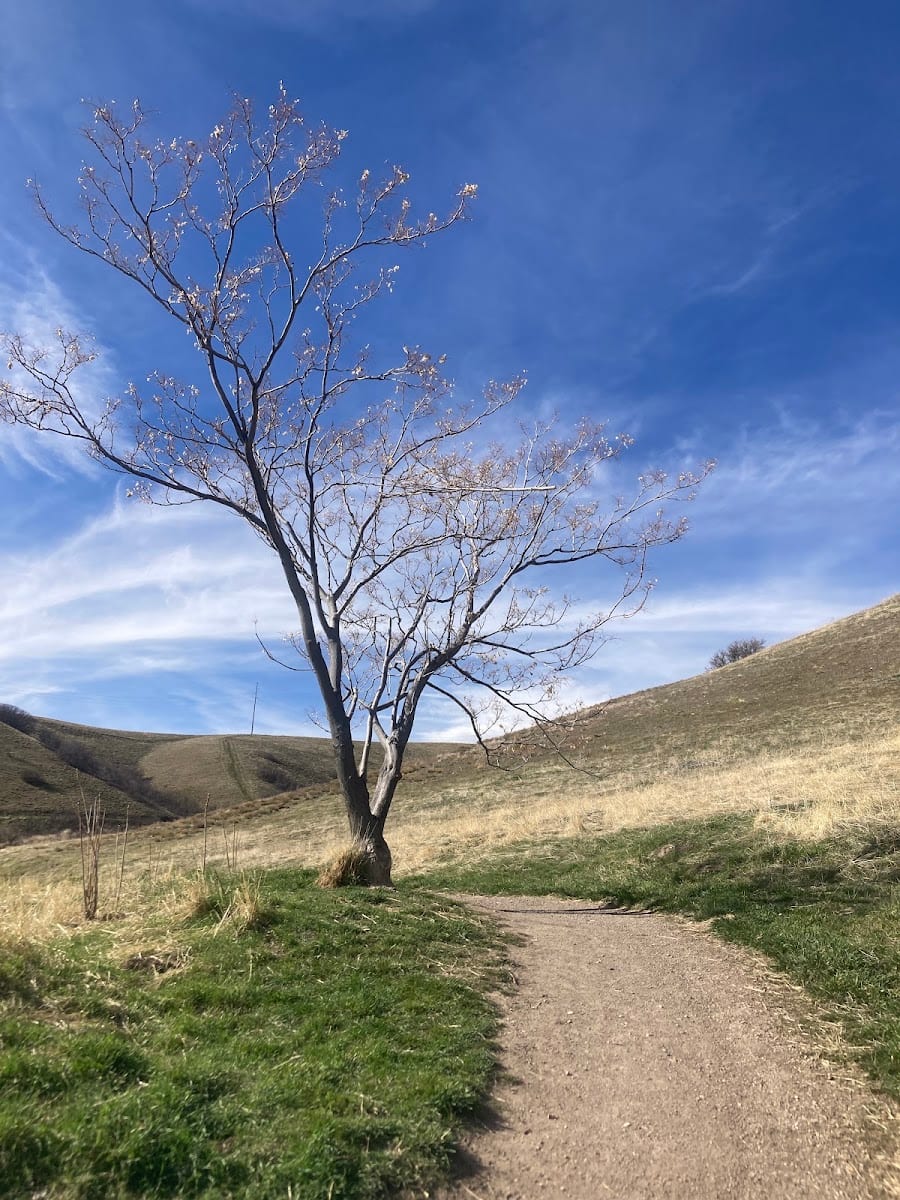 Valley View and Twin Peaks Trails Loop, photo 3