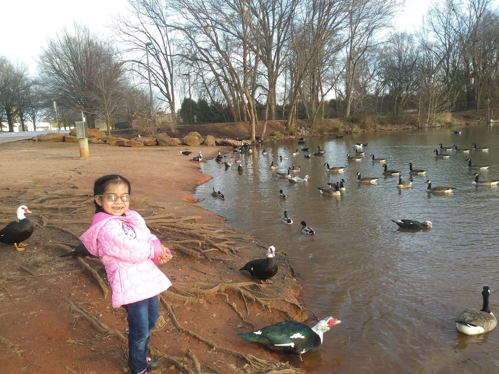Chris Taylor Memorial Park, photo 3