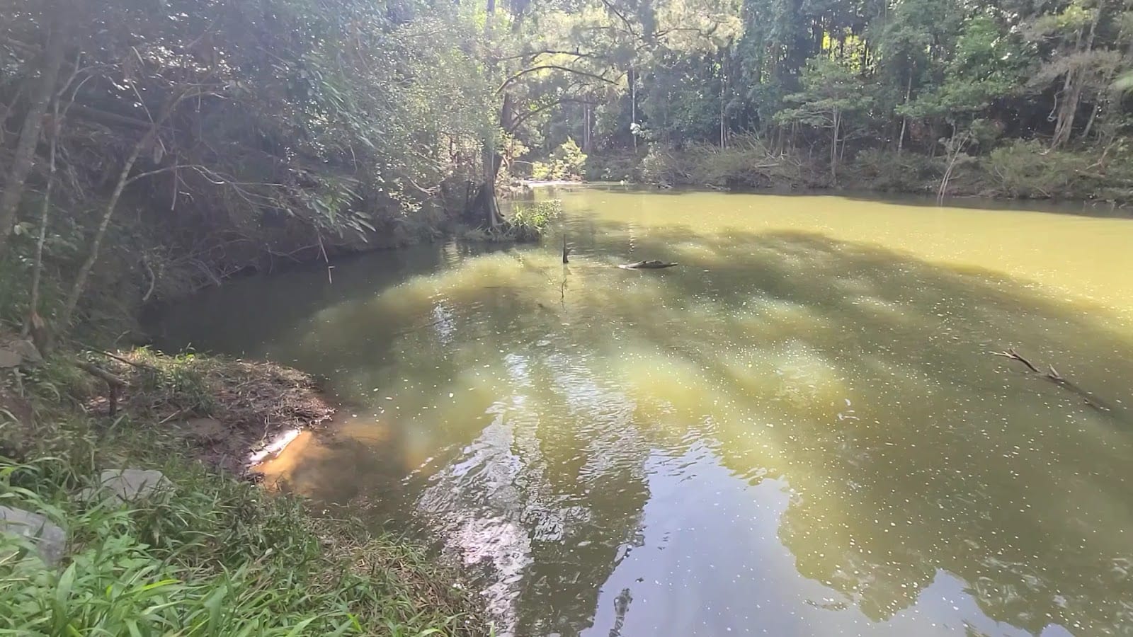 Platypus Lake Trail, photo 2