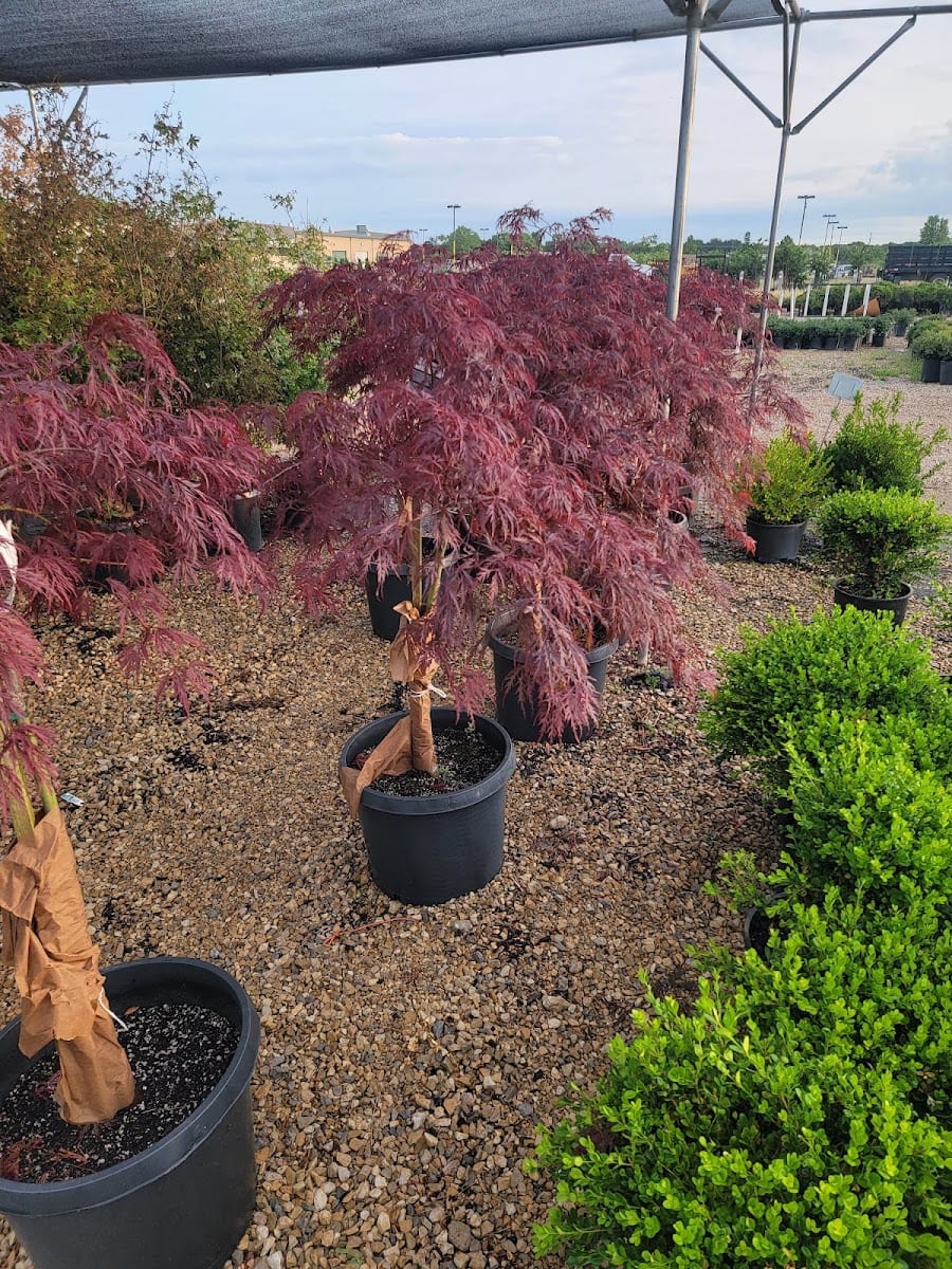 SiteOne Landscape Supply