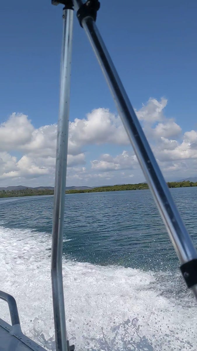 Newry Islands National Park, photo 2